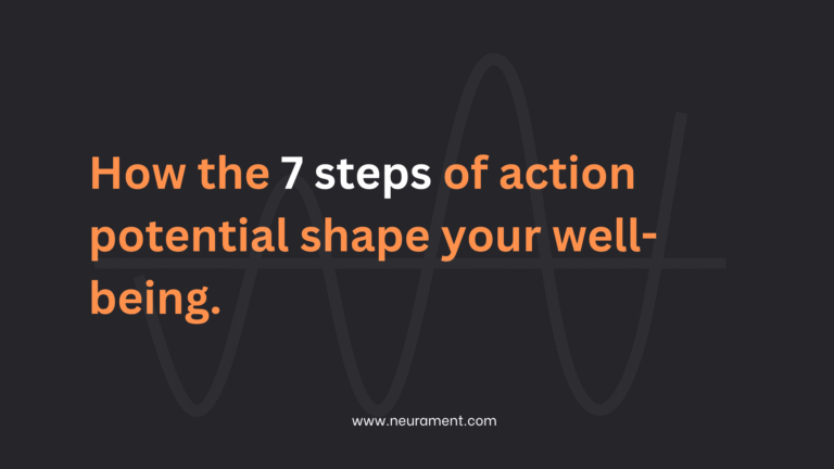 How the 7 steps of action potential shape your well-being